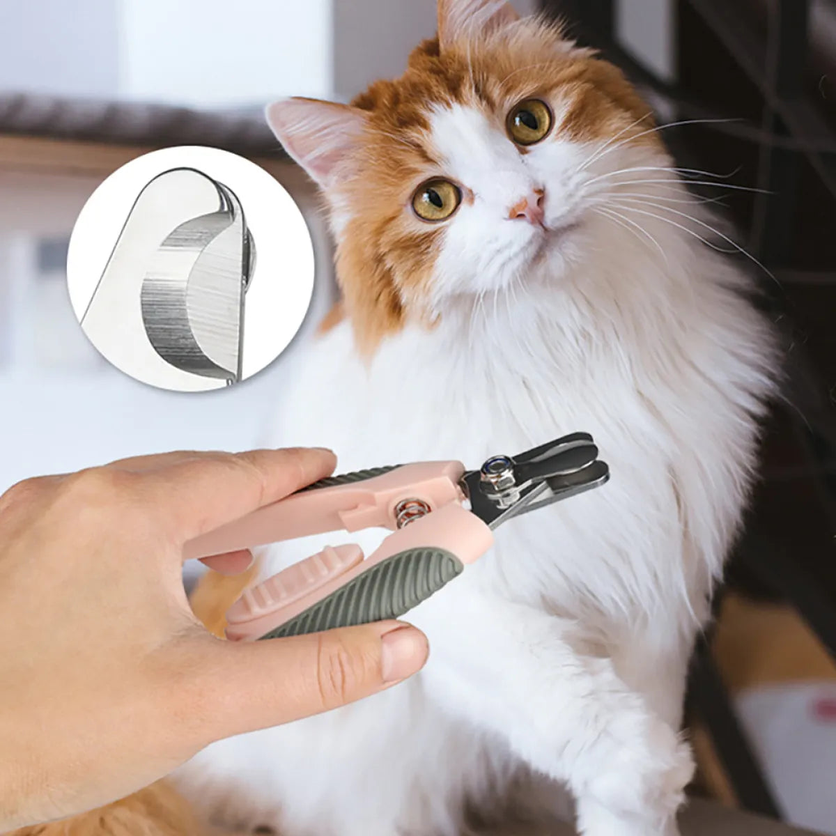 Professional Dog &amp; Cat Nail Clipper ✂️🐾