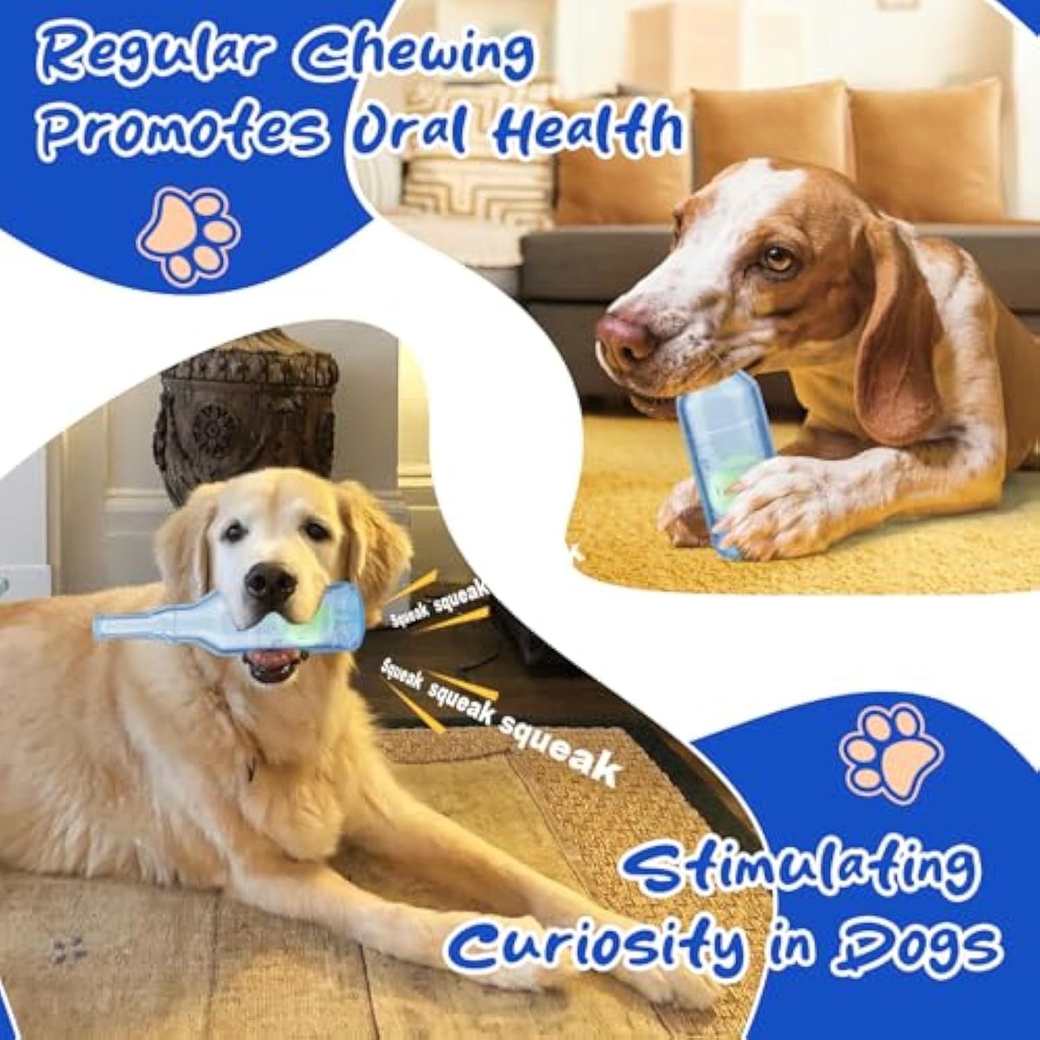 Interactive Water Bottle Dog Toy 🐶💦
