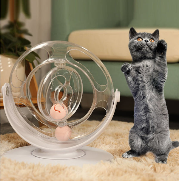 Cat Turntable Educational Toy🐱🎡