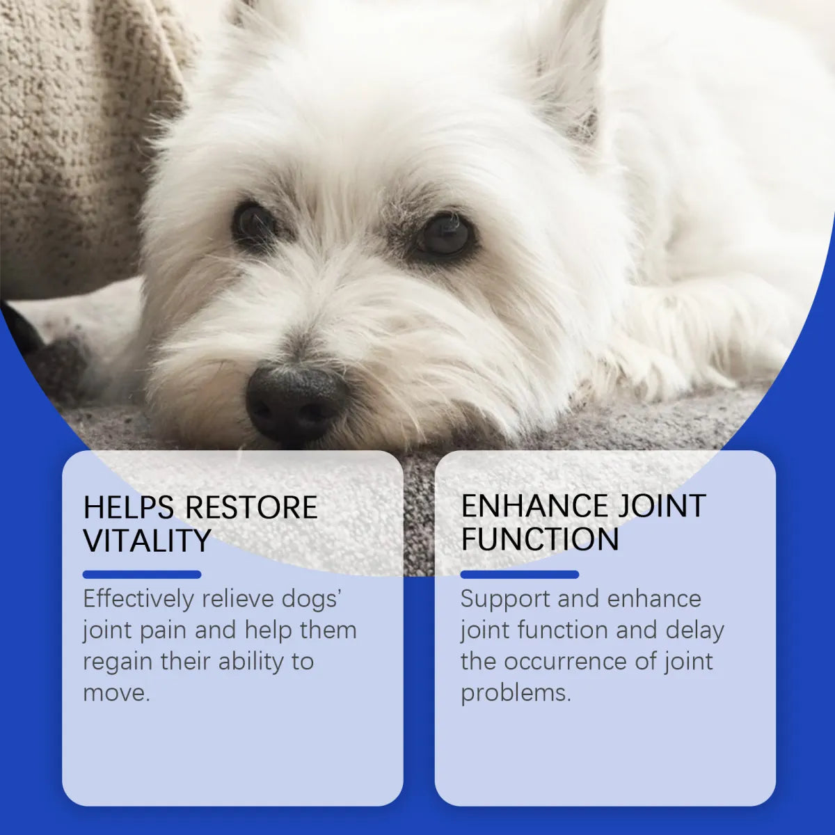 Dog Joint Health Supplement 🐶💊