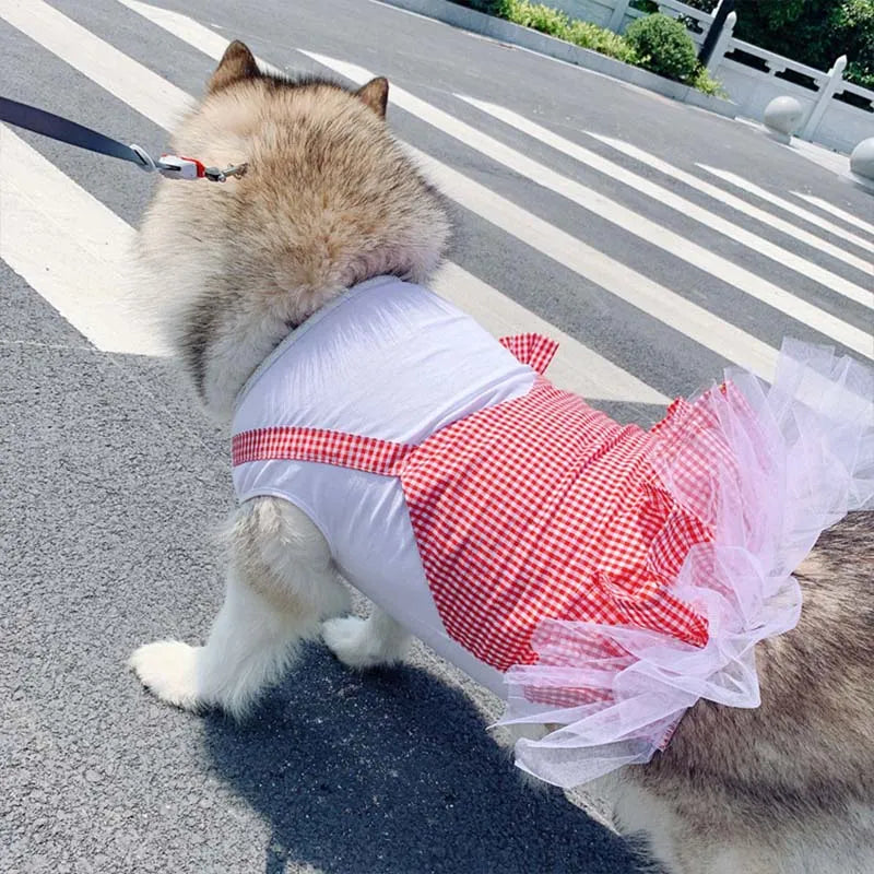 Princess Costume for Large Dogs 👑🐶