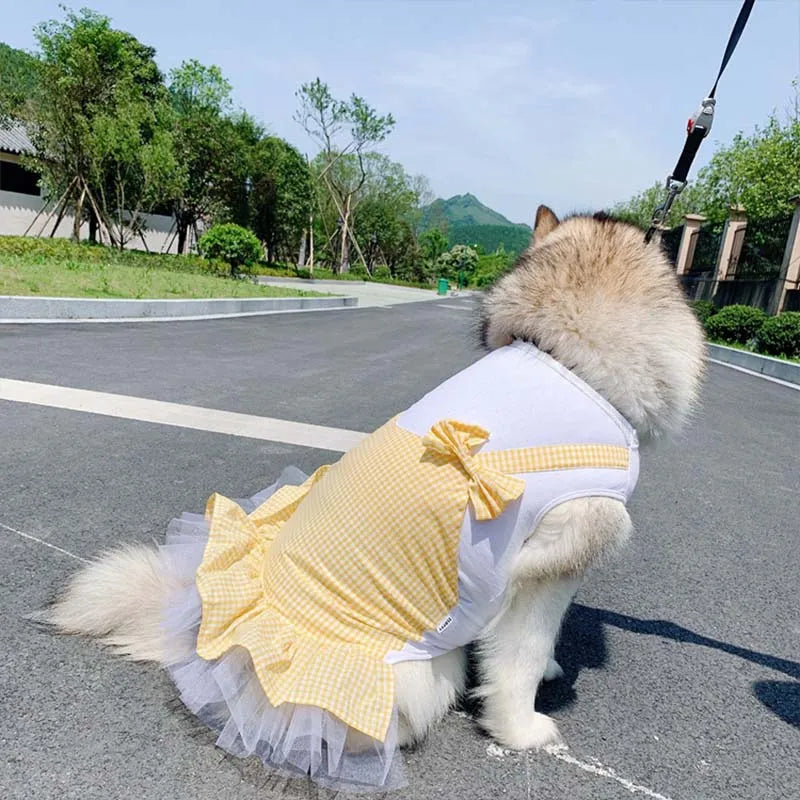 Princess Costume for Large Dogs 👑🐶