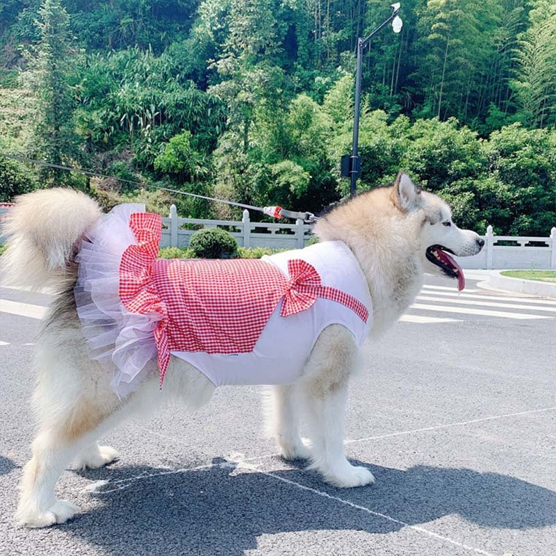 Princess Costume for Large Dogs 👑🐶