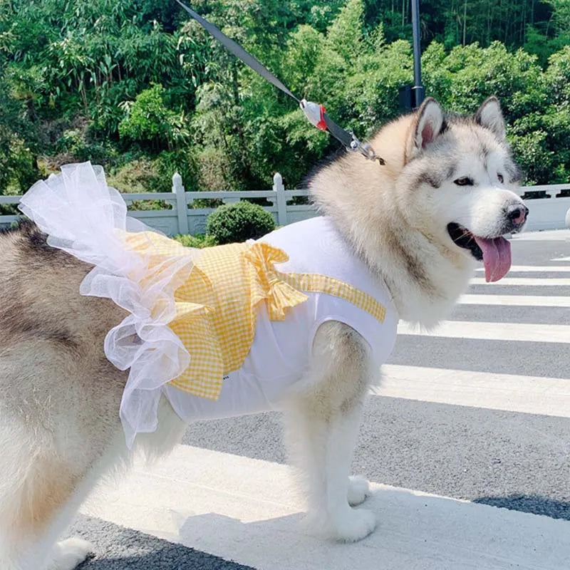 Princess Costume for Large Dogs 👑🐶