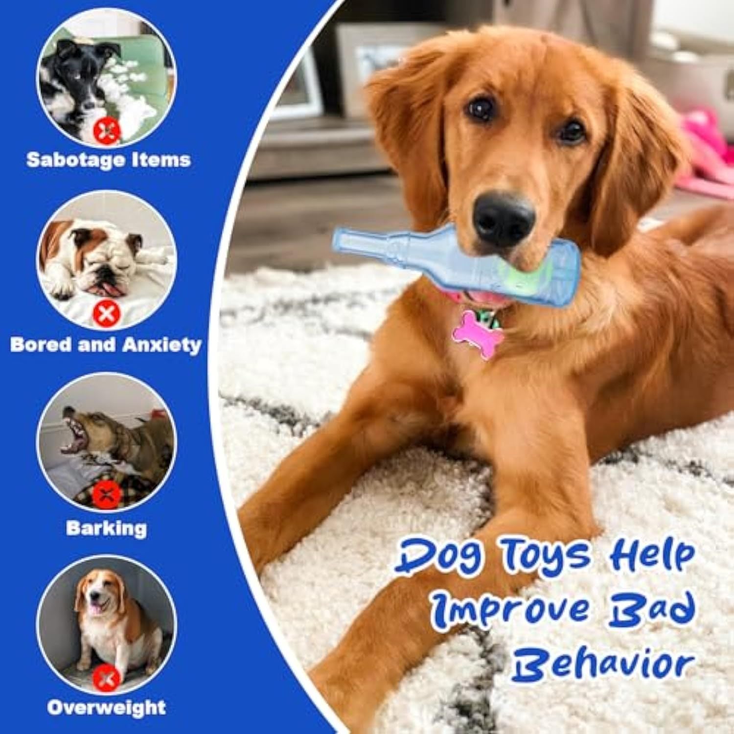 Interactive Water Bottle Dog Toy 🐶💦