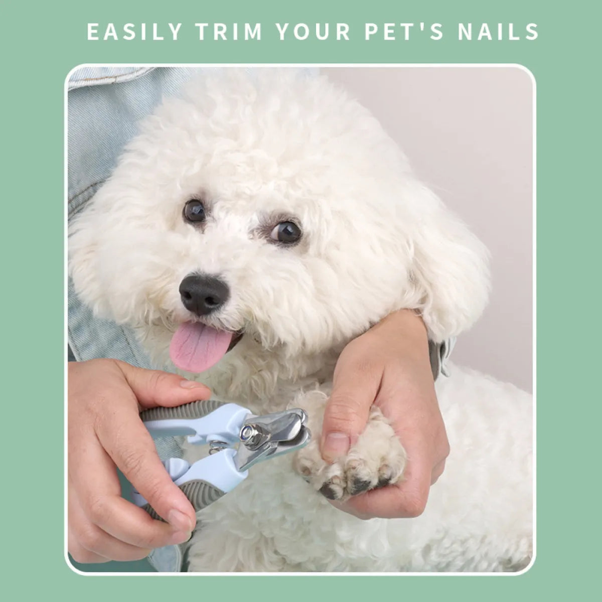 Professional Dog &amp; Cat Nail Clipper ✂️🐾