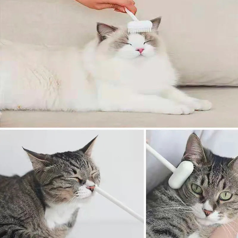 Funny Cat Comb Toy Sticker 🐱🎨