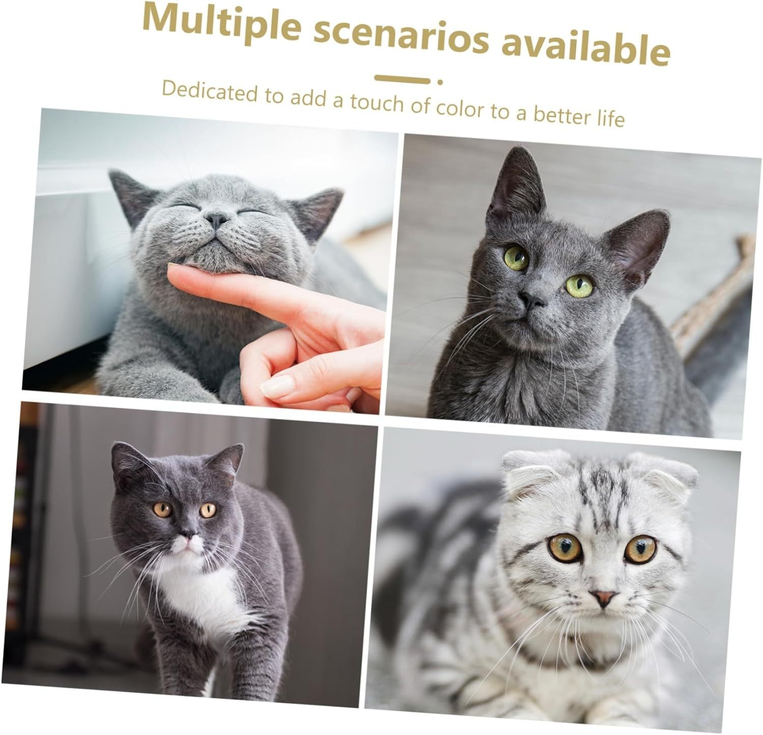 Interactive Mouse Cat Toy 🐭