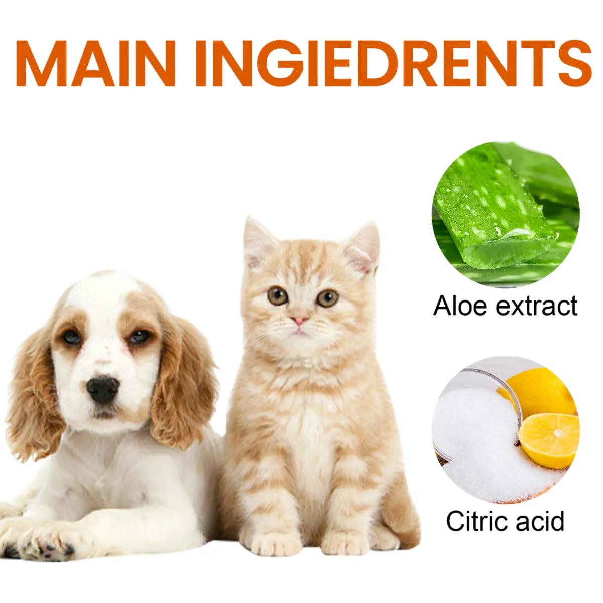 Pet Ear Cleaning Wipes 🐾👂