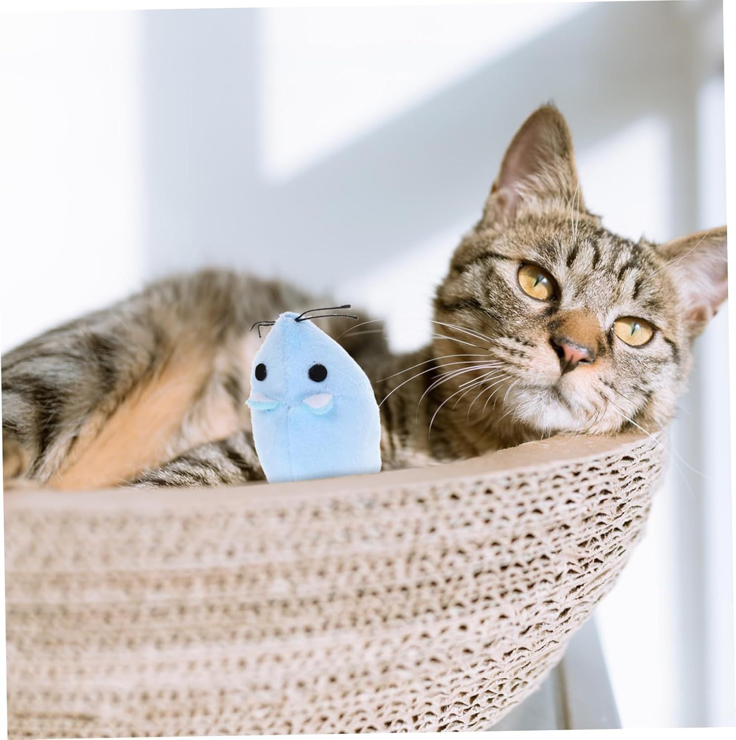 Interactive Mouse Cat Toy 🐭