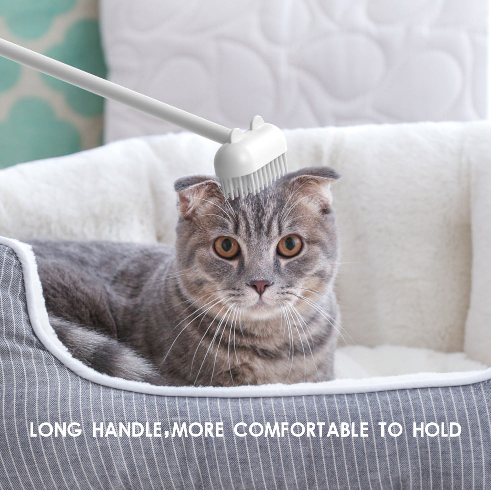 Funny Cat Comb Toy Sticker 🐱🎨