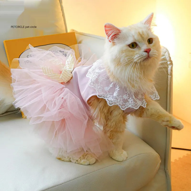 Lace Cat Clothing for Pets 🐱👗