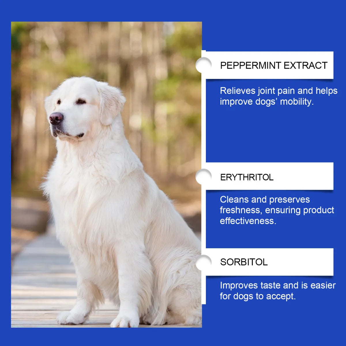Dog Joint Health Supplement 🐶💊