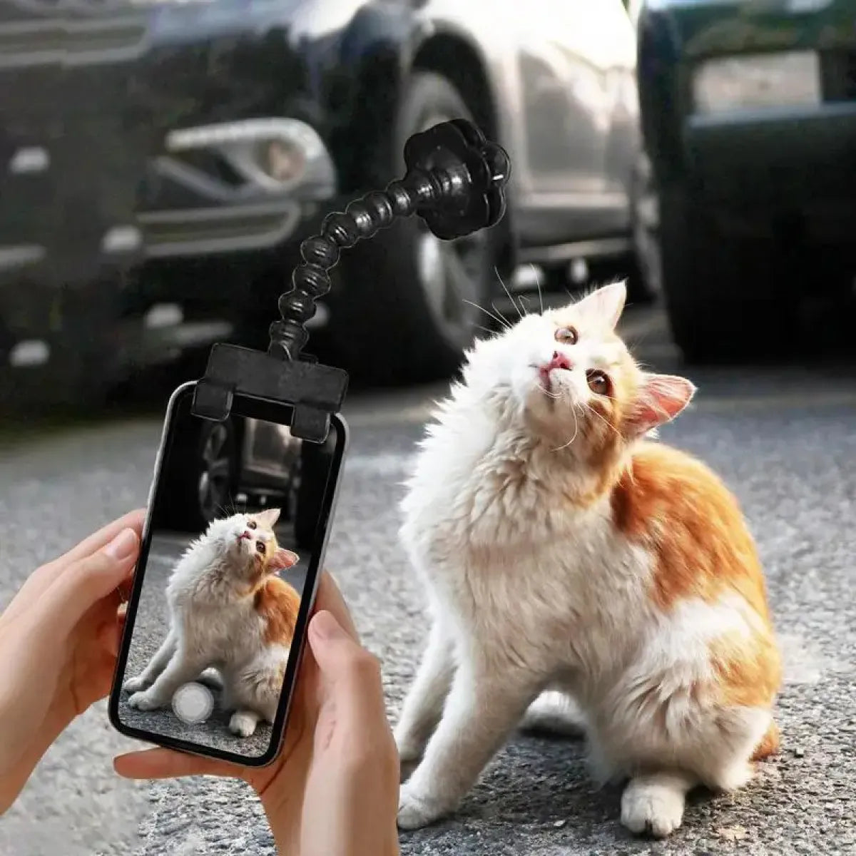 Pet Camera Lens Holder Clip 📸🐾
