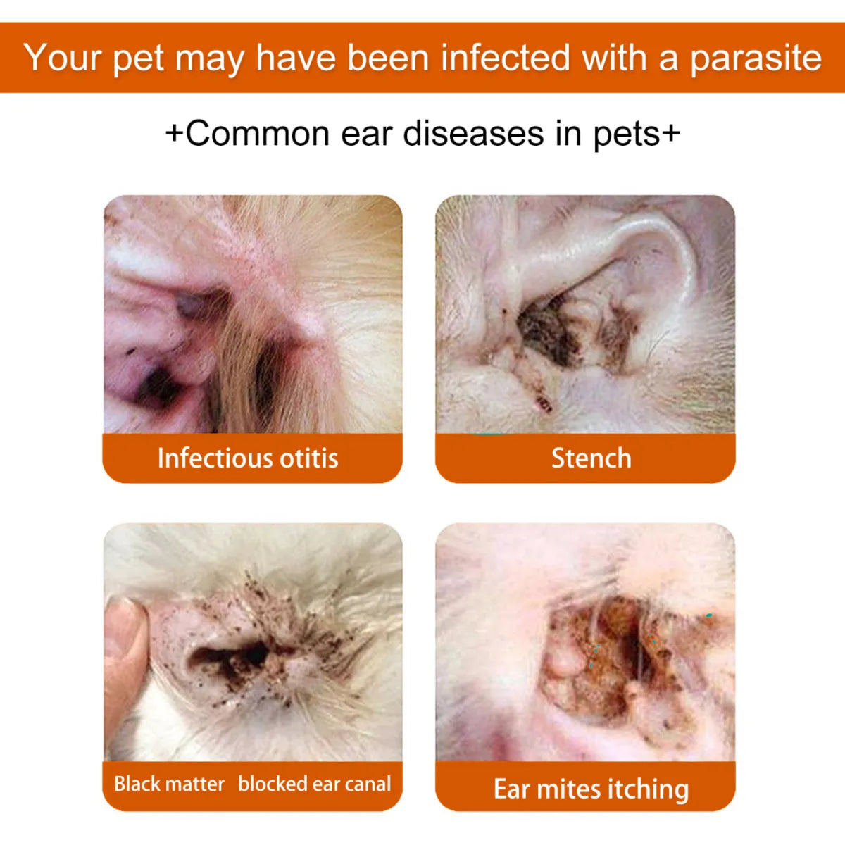 Pet Ear Cleaning Wipes 🐾👂