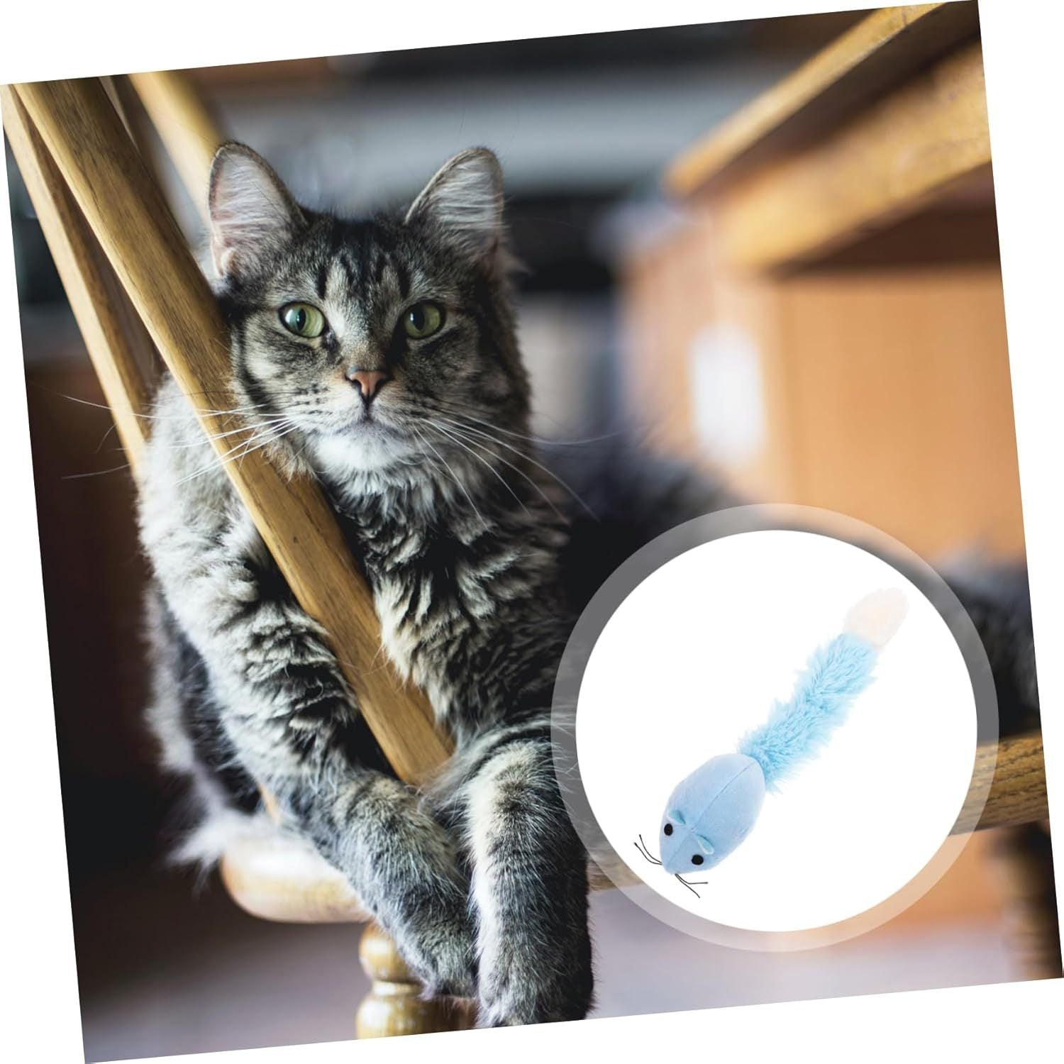 Interactive Mouse Cat Toy 🐭