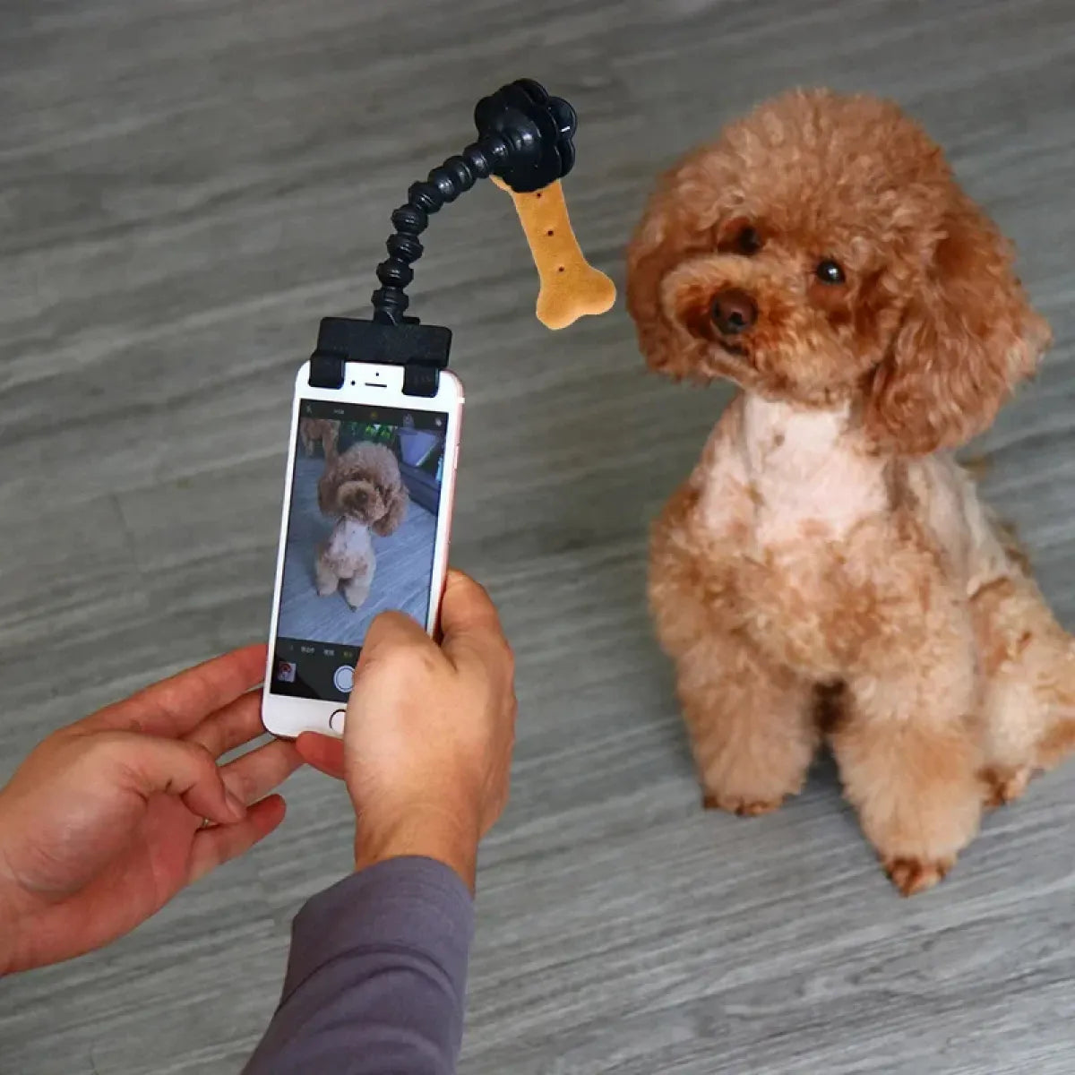 Pet Camera Lens Holder Clip 📸🐾