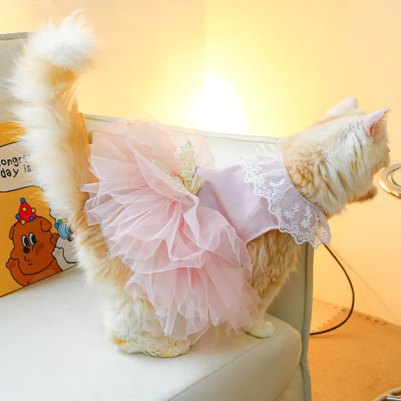 Lace Cat Clothing for Pets 🐱👗