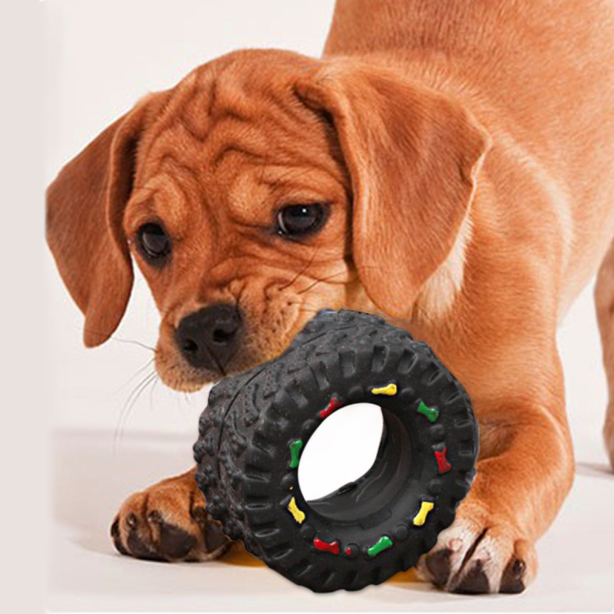 Small Tire Dog Vocalization Toy 🐶🎾
