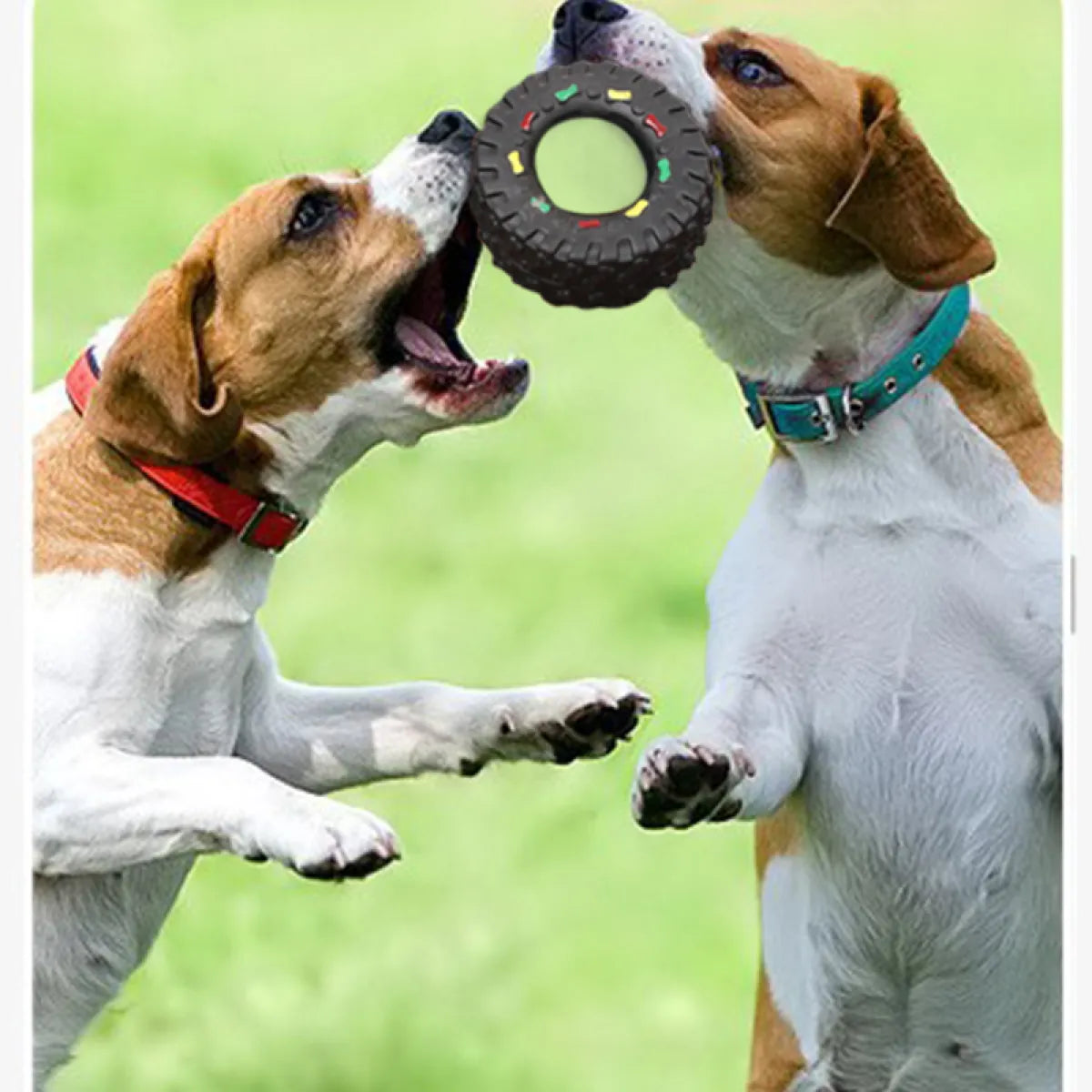 Small Tire Dog Vocalization Toy 🐶🎾
