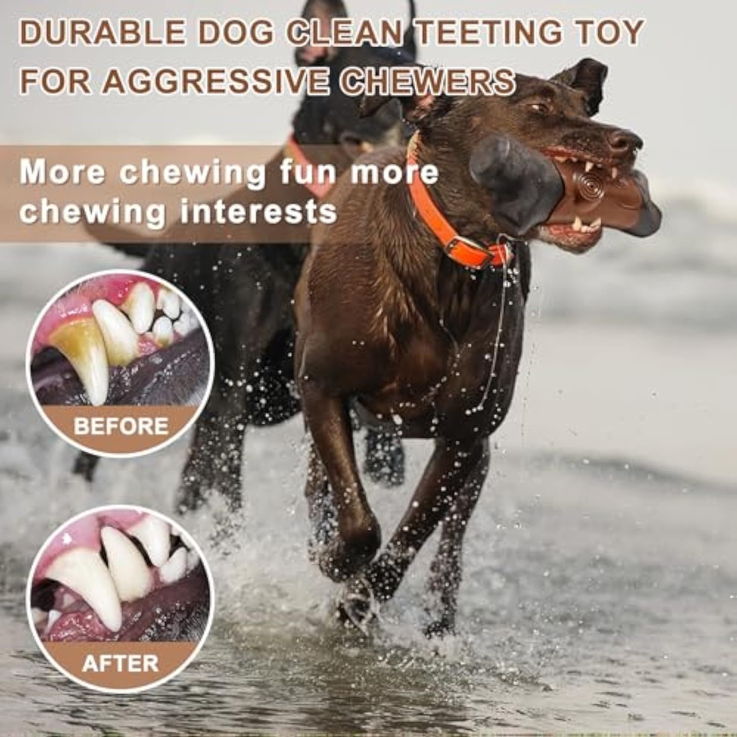 Indestructible Tough Dog Toy 🐶💪